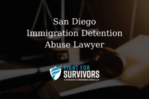 San Diego Immigration Detention Abuse Lawyer 1 FFS04 25 San Diego Immigration Detention Abuse Lawyer 1